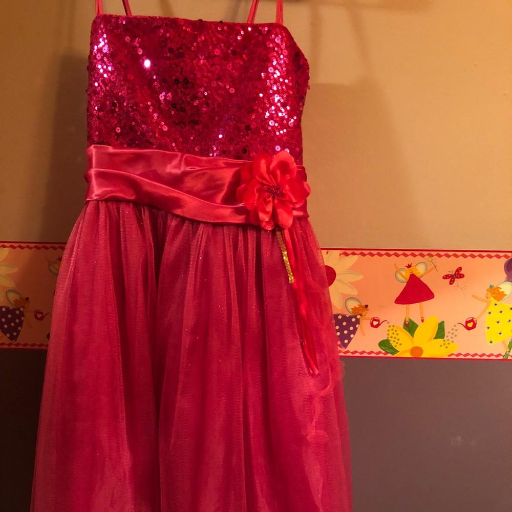 Pageant/flower girl dress.